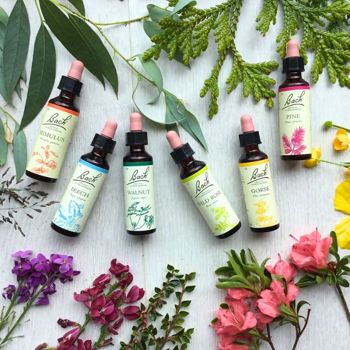 Assorted Bach Flower Remedies bottles surrounded by vibrant flowers and leaves, promoting natural emotional wellness.