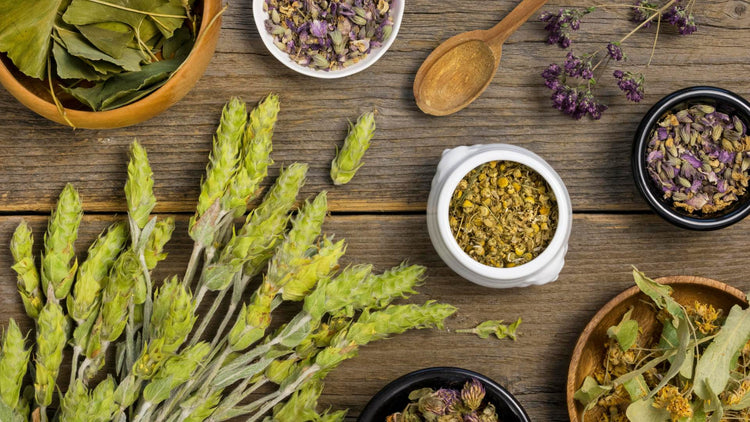 Selection of Medico Herbs from The Good Stuff, showcasing natural dried herbs and botanicals for wellness and holistic health solutions.