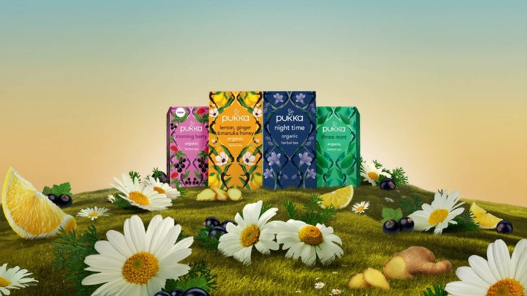 Pukka Teas - The Good Stuff: "Assorted Pukka organic tea boxes including flavours like morning berry, lemon ginger, night time, and three mint, displayed on a nature-inspired background with chamomile flowers, citrus, and berries.