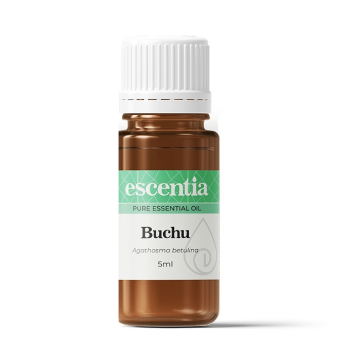 "Escentia Buchu Pure Essential Oil 5ml, 100% pure Agathosma betulina oil, known for its cleansing, detoxifying, and healing properties."