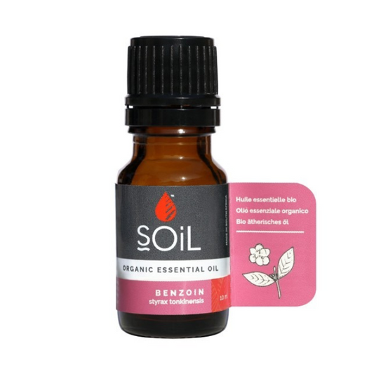 "SOiL Benzoin Organic Essential Oil 10ml, 100% pure Styrax tonkinensis oil, known for its soothing, warming, and comforting properties."