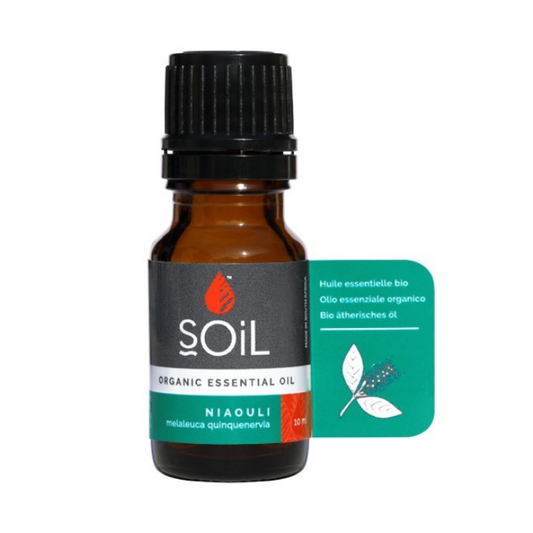 "SOiL Niaouli Organic Essential Oil 10ml, 100% pure Melaleuca quinquenervia oil, known for its cleansing, purifying, and refreshing properties."