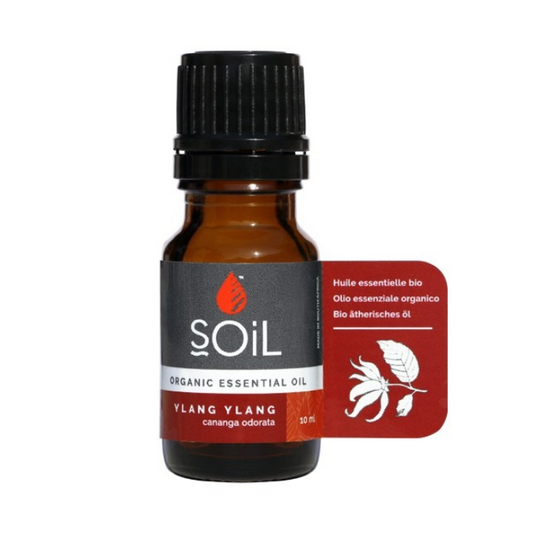 "SOiL Ylang Ylang Organic Essential Oil 10ml, 100% pure Cananga odorata oil, known for its calming and aromatic floral properties."