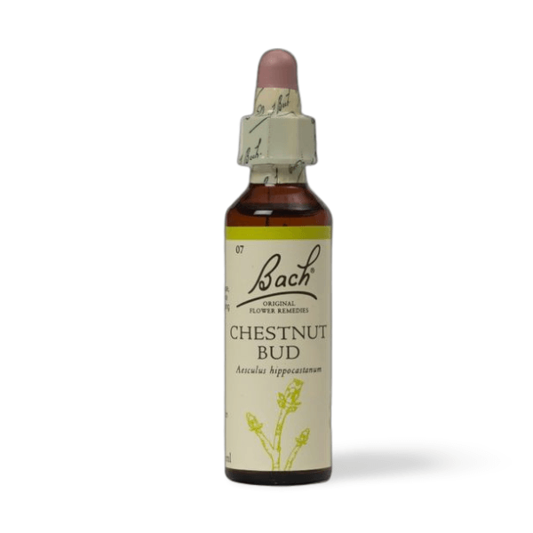 BACH Chestnut Bud Flower Essence - THE GOOD STUFF