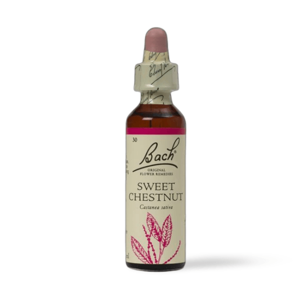 BACH Sweet Chestnut Flower Essence - THE GOOD STUFF